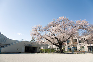 �����w�����������΂ݗc�t��