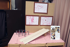 �������y��w�����c�t��