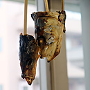 国立音楽大学附属幼稚園