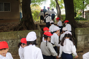 �����w�����w�Z