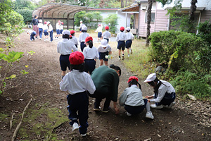 �����w�����w�Z