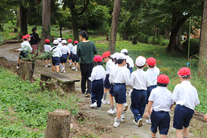 �����w�����w�Z