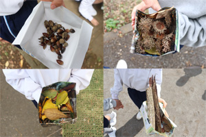 �����w�����w�Z