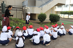 �����w�����w�Z