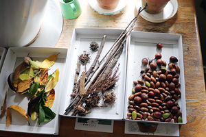 �����w�����w�Z