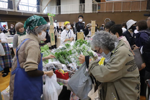 �����w�����w�Z